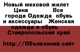 Новый меховой жилет › Цена ­ 14 000 - Все города Одежда, обувь и аксессуары » Женская одежда и обувь   . Ставропольский край